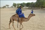 Camel Jockey on edge of the Sahara